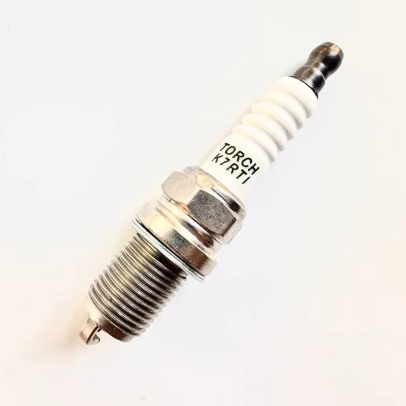 Spark Plug - شمعة إشعال لـ 1100 رينلي جوينر
